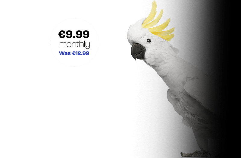 SIM card by Clear Mobile