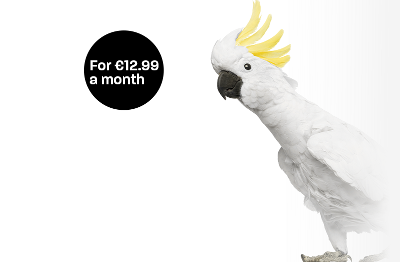 SIM card by Clear Mobile